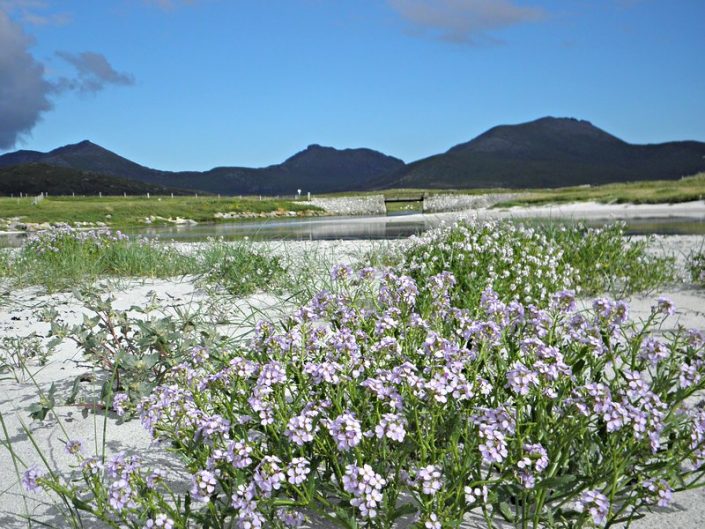 Hills of South Uist