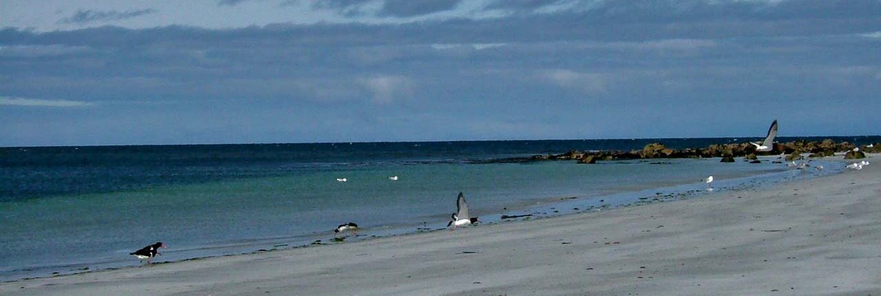 Bird watching in the Outer Hebrides